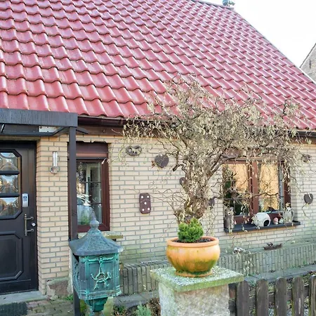 Ferienhaus Am Reiterhof Templin Exterior foto