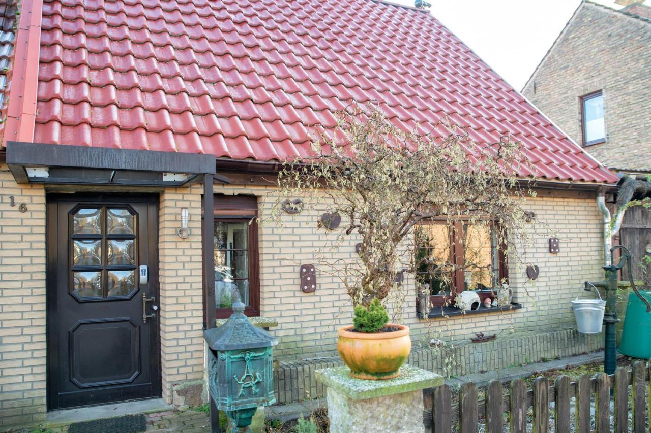 Apartment Am Reiterhof Templin